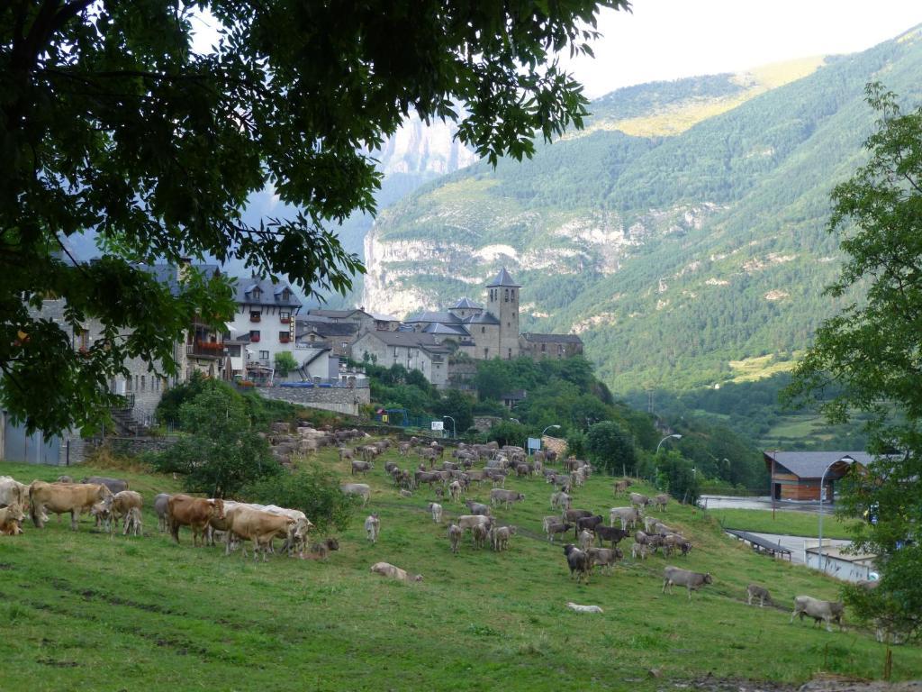 Hotel Bellavista Ordesa Torla Εξωτερικό φωτογραφία